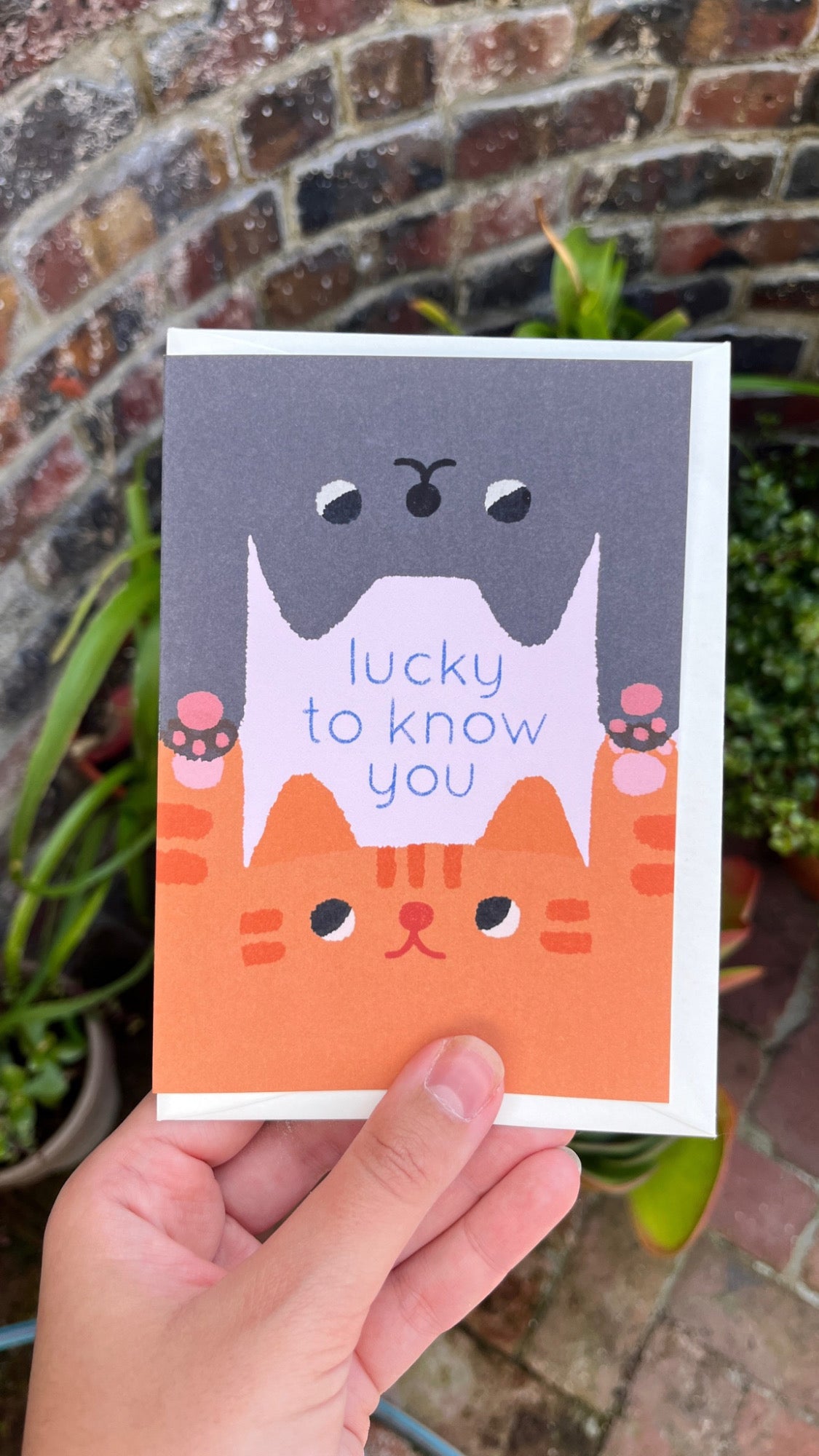 lucky cats card