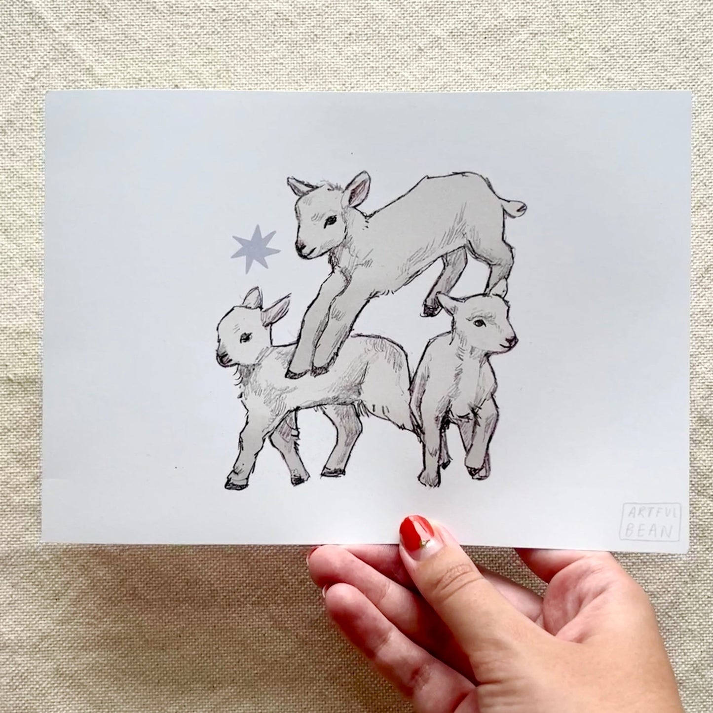 lambs