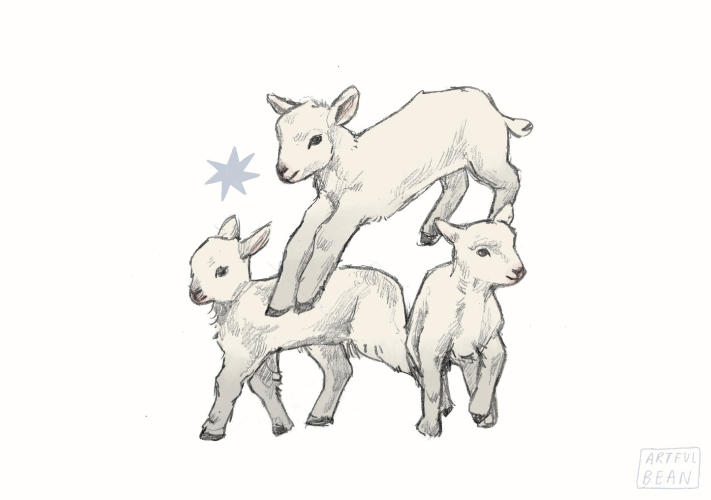 lambs