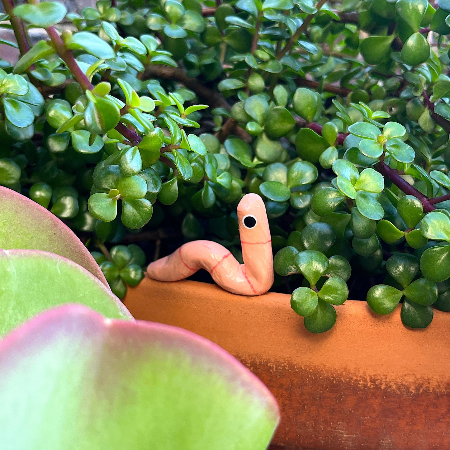 worm!