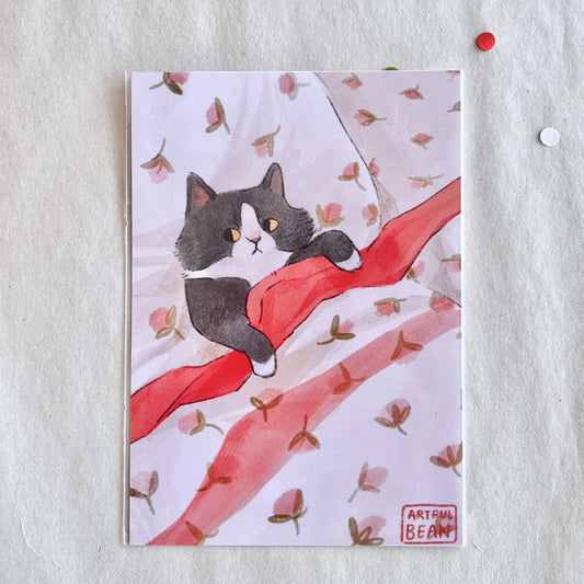 cozy cat