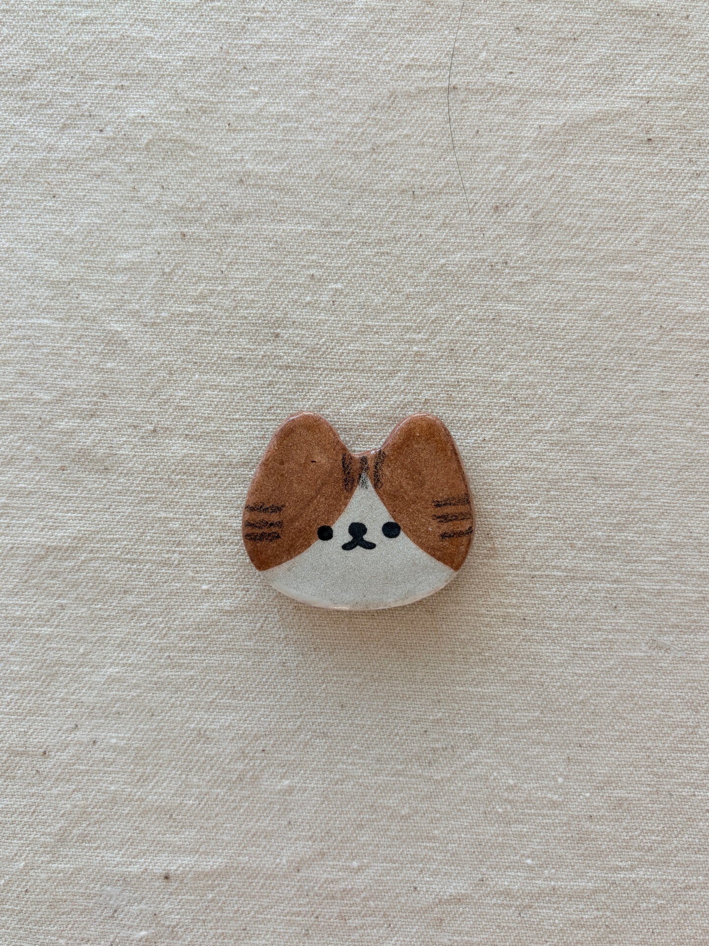 cat face magnet (old)