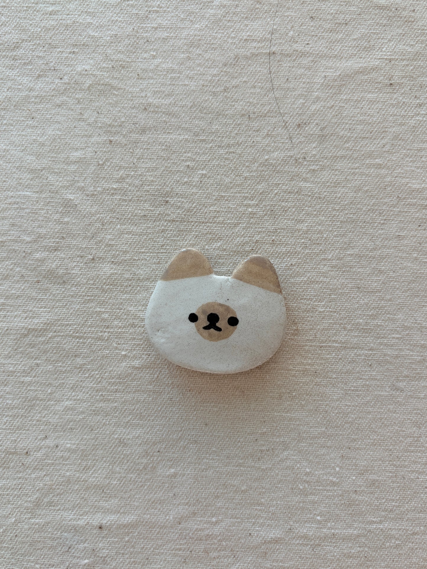 cat face magnet (old)